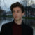Christiaan den Dulk