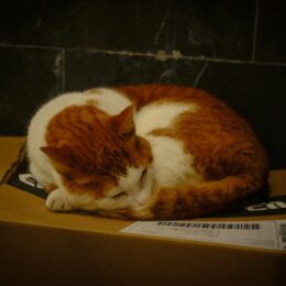 Francesca-Zancla_Home_photography-basics_Marzia