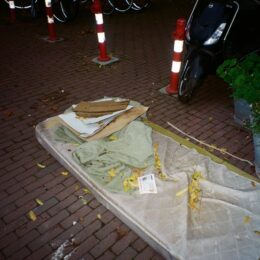 Jesper-Saakes_Temporarily-Embarrassed-Millionaire_Rogier