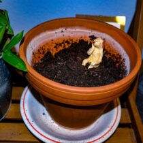 Yongquan-Zhang_photography1 Marzia Home